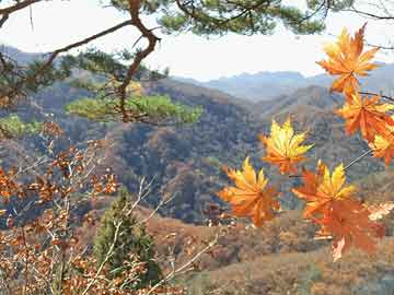 去哪购买打胎药呢安全点打胎药私人（打胎药私人店）